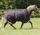 Pony buster Hardy 100 turnout Rug Purple thumbnail