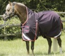 Pony buster Hardy 100 turnout Rug Purple thumbnail