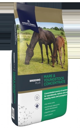 MARE & YOUNGSTOCK CONCENTRATE